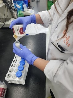 미생물 검사 과정1