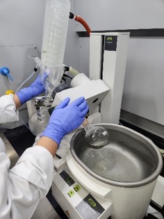 미생물 검사 과정2